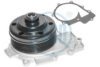 LASO 20200031 Water Pump